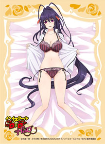 High School DxD Akeno Himejima